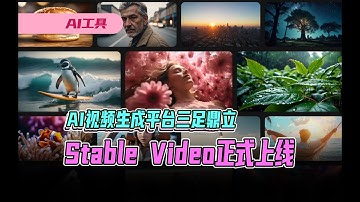 AI视频生成平台三足鼎立， Stable Video正式上线#ai工具 #aigc #text2video #vid2vid #svd