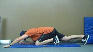 Paramount Fitness Training - Super Dog