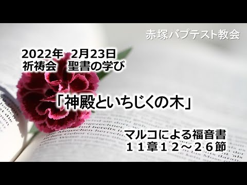 2022年2月23日(水・休)赤塚教会祈祷会　聖書の学び動画「神殿といちじくの木」マルコによる福音書11章12～26節