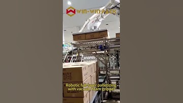 Robotic palletizer for full-layer palletizing #palletizer #palletizing #shorts