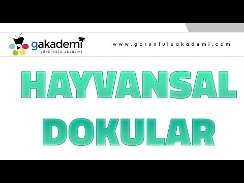 Hayvansal Dokular |Biyoloji Dersi