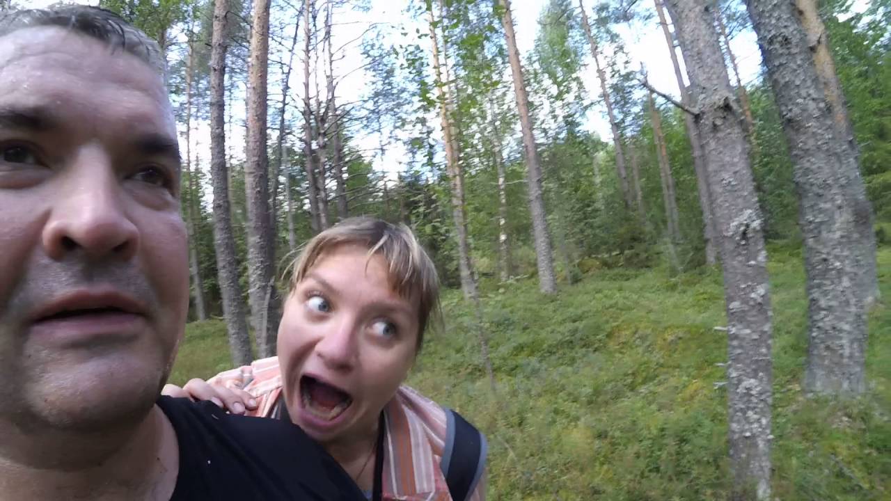 Беар Гриллс выжить любой ценой 2016 YouTube Беар Гриллс выжить любой ценой 2016 YouTube