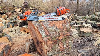 Husqvarna 592xp, 288xp cutting big, hard oak ! by poparamiro's chainsaws 4,538 views 3 months ago 7 minutes, 40 seconds