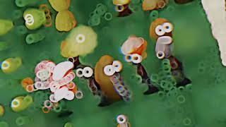 𝕭𝖆𝖑𝖑𝖎𝖓 𝕺𝖓 𝖄𝖔𝖚𝖗 𝕷𝖆𝖜𝖓 - 𝕻𝖛𝖅 𝕰𝖉𝖎𝖙 𝕾𝖍𝖎𝖙𝖕𝖔𝖘𝖙