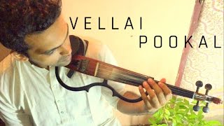 Chords for Vellai Pookkal - A.R. Rahman | STRINGS Cover - Keethan, Manoj, Ábel, Caroline