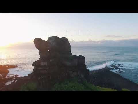 Heuse WOLFHOWL Riell Daylight 