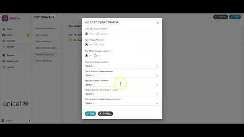 GBVIMS+ Case Management Incident Form
