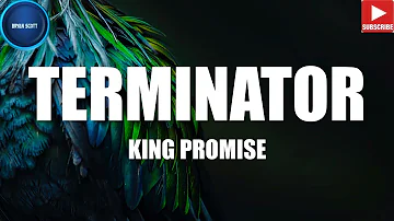 KING PROMISE - TERMINATOR (LYRICS VIDEO)