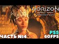 ✅(PS5) Horizon Forbidden West(Запретный Запад) - Прохождение. Часть №4.