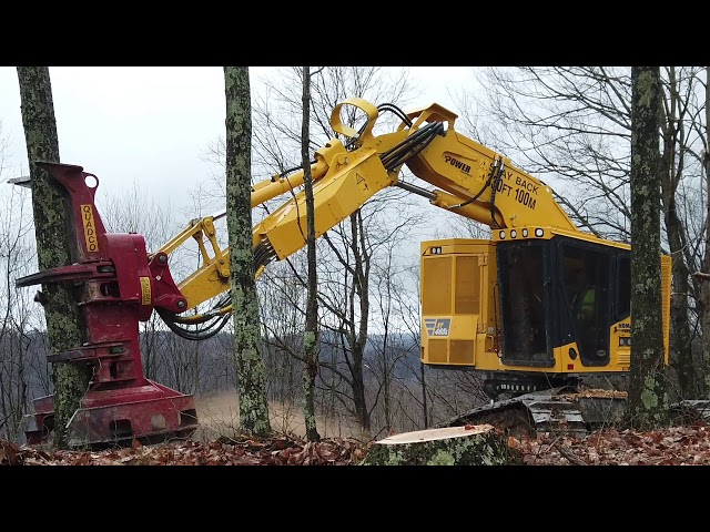 TimberPRO TL745D Feller Buncher For Sale