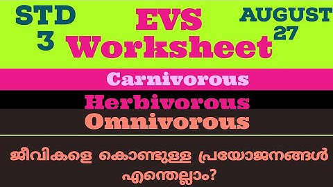 Std 3 EVS worksheet August 27@shijueduvibez
