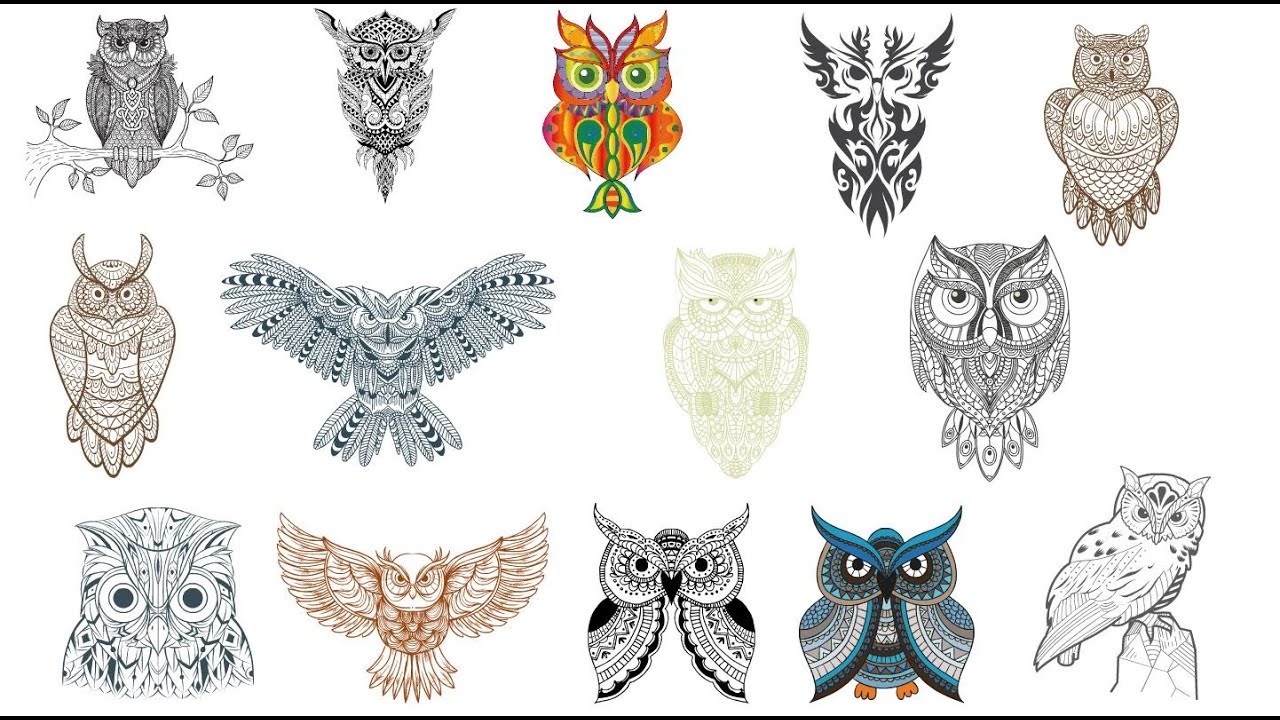 Owl Tattoo Vector Art HD Images  Free Download On Pngtree