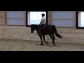 Three Tips to Improving Canter Transitions