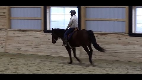 Three Tips to Improving Canter Transitions