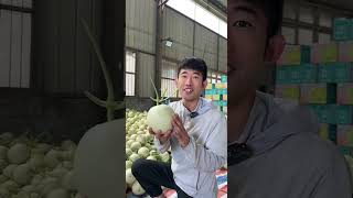 Hey, it’s nothing. Try the jade mushroom melon. It’s really delicious. It’s picked and delivered fr