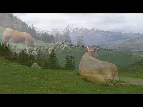 Col d'ASPIN -