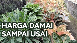 Harga damai sampai usai