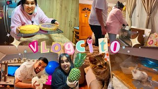 Download Lagu Coconut Pie Delicacy | Sakura Habitat Change MP3 Download Lagu Coconut Pie Delicacy | Sakura Habitat Change MP3
