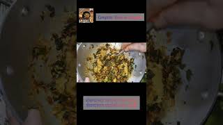 शेवग्याच्या पानांचे पराठे शेवग्याच्या पराठे पराठा पराठारेसिपी moringa food