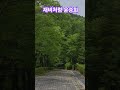 재비처럼 윤승희 재비처럼 윤승희