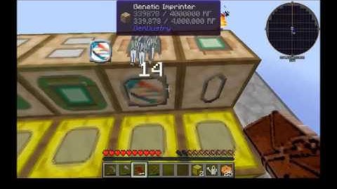 FTB #5 Bee Happy: Preparation and a test