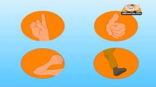 Nursery Rhyme - One Finger, One Thumb
