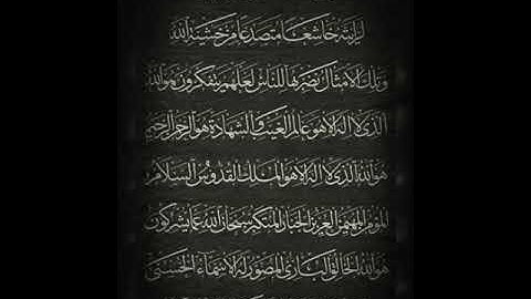 آواخر سورة الحشر بصوت (هزاع البلوشي)