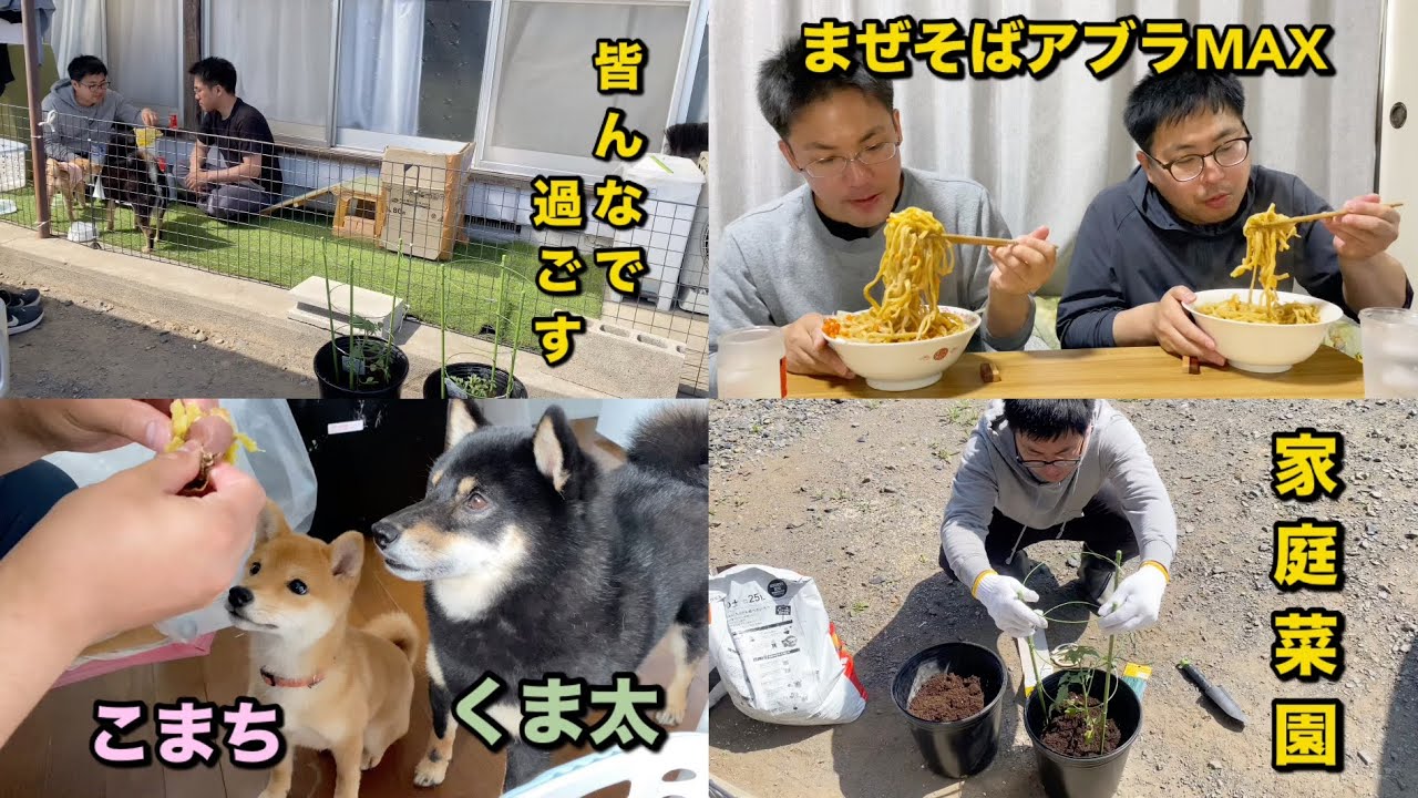 家族で過ごす休日 - YouTube