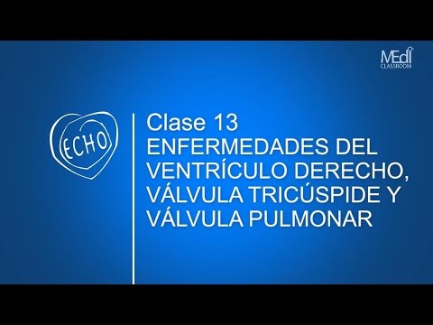 Vídeo: Ventrículo Derecho: Estructura, Función, Enfermedad