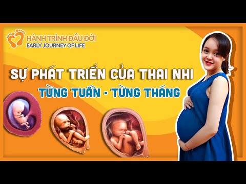 Video: Đầu tiên phát triển của bé - Từ 12 đến 18 tháng