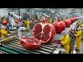How It’s Made: Pomegranate Juice | Modern Food Factory Processing Line
