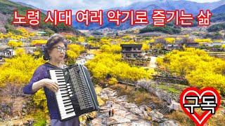 개나리 처녀 #아코디온#80세시대의삶  10개이상 악기 종류로 연주
