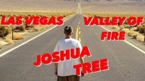 Exploring Valley Of Fire and Joshua Tree! 4K