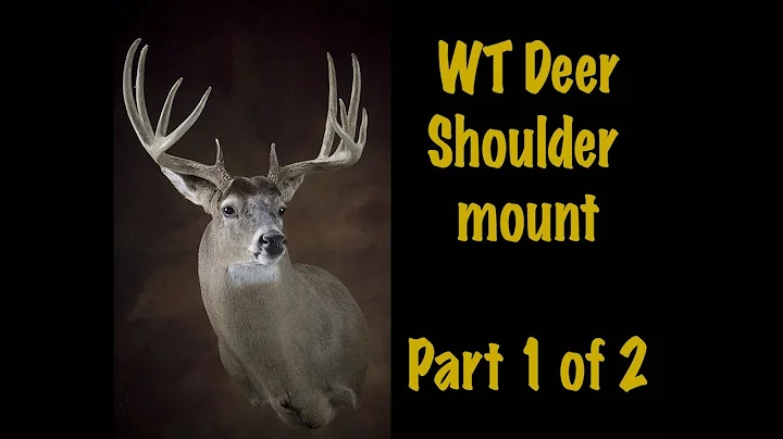 Deer Taxidermy, Shoulder mount Part 1 of 2. Semi sneak Sweep.