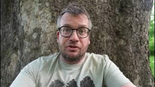 At Least There Are Trees