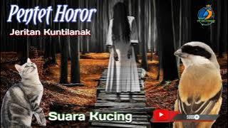 Masteran Pentet Materi Horor || Suara Kucing || Suara Kuntilanak