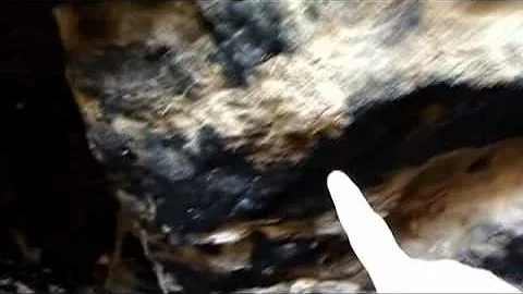 Lovelock Cave  - Northern Paiute Indian Cache Site -Nevada