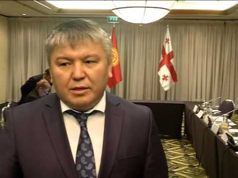 საქართველო-ყირგიზეთის მთავრობათაშორისი სხდომა