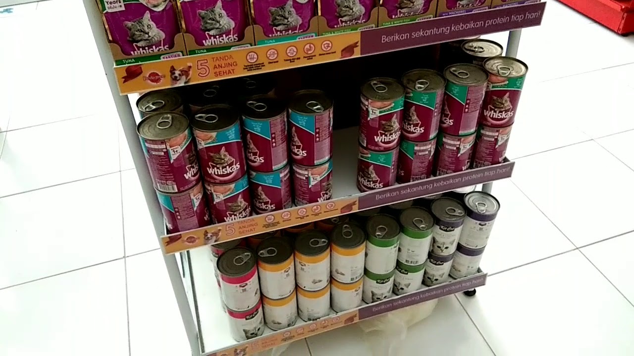 Pet Shop Batam : Semua Tentang Kucing Ada di Dipa Cat