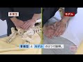 中山隆嗣先生【靱帯療法】心地良くても効果がある、新しい骨格調整術！