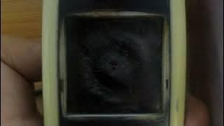 Nokia 2600 (Asian Firmware) ringtones