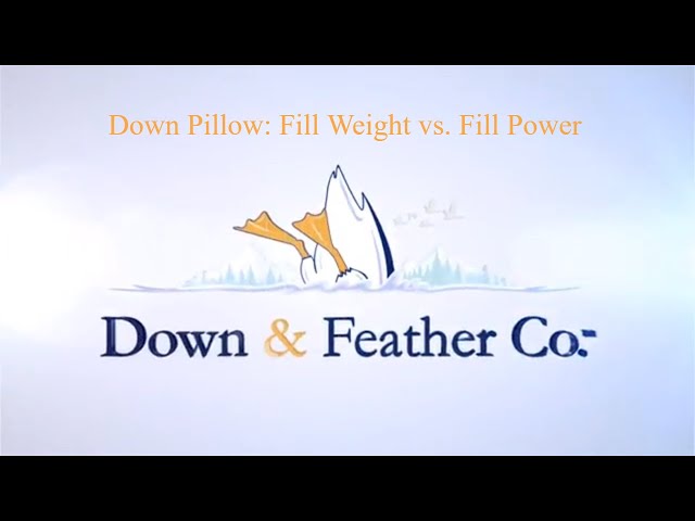 Special Content: Down Fill Power: Explained