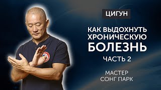 Как выдохнуть хроническую болезнь из тела | Часть 2  | Мастер Сонг Парк | Академия Киайдо