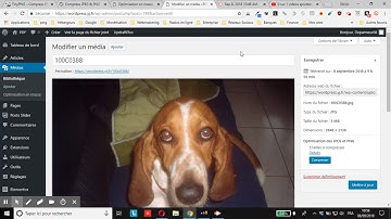 WordPress :  redimensionner & compresser les images téléversées avec Compress JPEG & PNG images