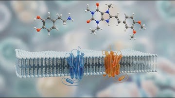 Marvel Biosciences’ Mark Williams talks MB-204