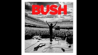 Bush-Everything Zen live