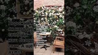 Кав'ярня Дніпро, центр міста