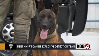 Meet New Mexico State Police's canine explosive detection team
