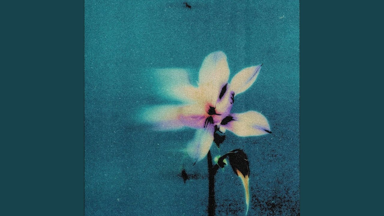 Guarda Tea su YouTube Guarda Tea su YouTube