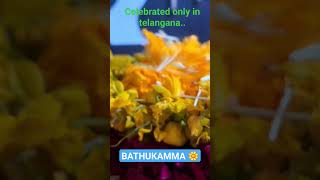 bathukamma celebrations/telangana festival/ #india #traditional #telangana #bathukamma #viral